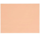 PEACH STEAK PAPER 8X11- 1M- 1000x4