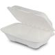 bagasse
9